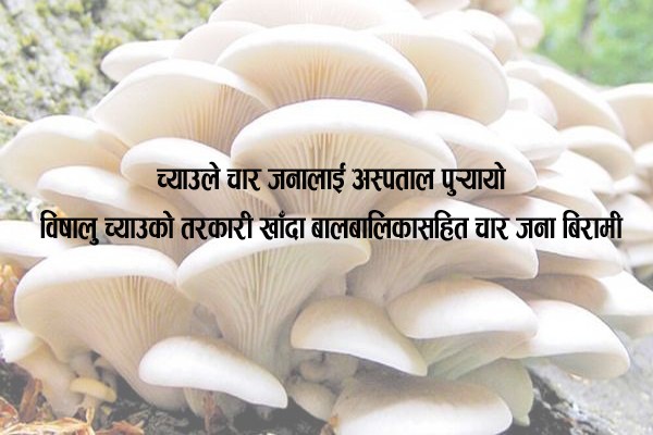 विषालु च्याउको तरकारी खाँदा बालबालिकासहित चार जना बिरामी