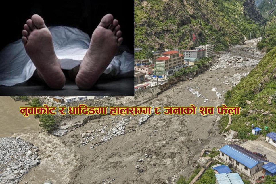 नुवाकोट र धादिङमा हालसम्म ८ जनाको शव फेला