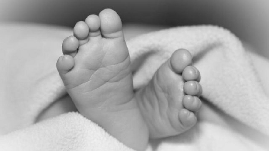 जापानीज इन्सेफलाइटिसबाट एक बालकको मृत्यु