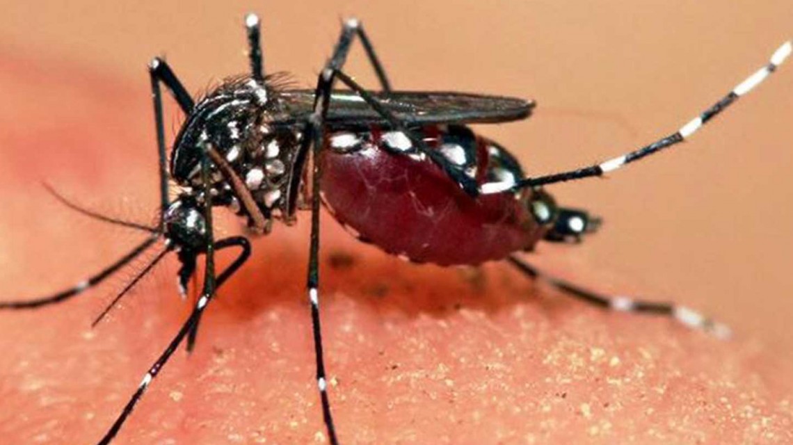 बाह्रै महिना डेङ्गु सङ्क्रमणको जोखिम
