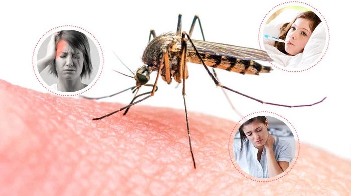 गण्डकी प्रदेशमा डेङ्गीसंगै कोरोना सङ्क्रमणको जोखिम बढ्दो