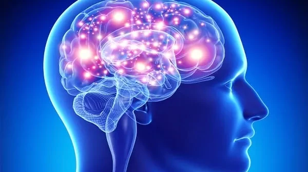 केरलामा ‘गिदी खाने अमीबा’ संक्रमण बढ्दा ७० संक्रमित, १९ को मृत्यु
