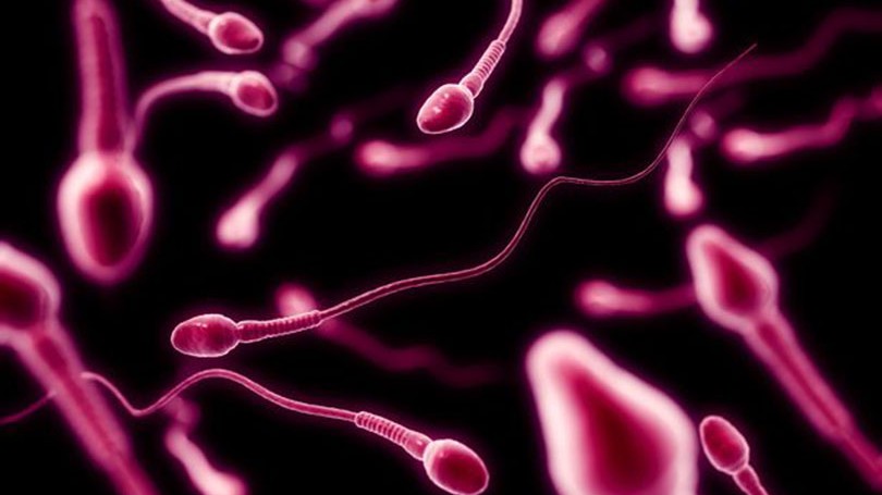 दान गरिएको शुक्राणुबाट जन्मिएका सयौँ बालबालिकामा क्यान्सरको उच्च जोखिम