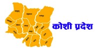 कोशी प्रदेशले कडा रोगीलाई ८ करोड ८५ लाख सहायता वितरण