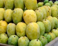 आँप खाएपछि पेट दुख्ने समस्या किन हुन्छ ?