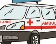 सर्लाहीमा एम्बुलेन्समै ५१ किलो गाँजा, चालक पक्राउ