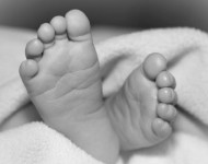 जापानीज इन्सेफलाइटिसबाट एक बालकको मृत्यु