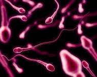 दान गरिएको शुक्राणुबाट जन्मिएका सयौँ बालबालिकामा क्यान्सरको उच्च जोखिम