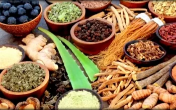 आयुर्वेदिक उपचारमा आकर्षण बढ्दै