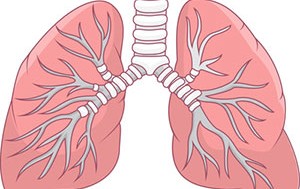 फोक्सोलाई सफा राख्ने केही टिप्स 