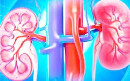 डायलायसिसमा पालो नपाउँदा समस्या