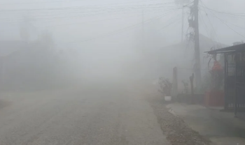 शीतलहर र बाक्लो हुस्सुले जनजीवन प्रभावित