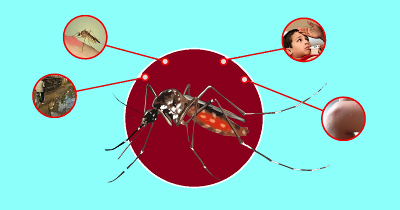 लामखुट्टेको प्रकोप र त्यसबाट फैलिन सक्ने रोगको संक्रमण नियन्त्रणका लागि विषादी छर्ने तयारी