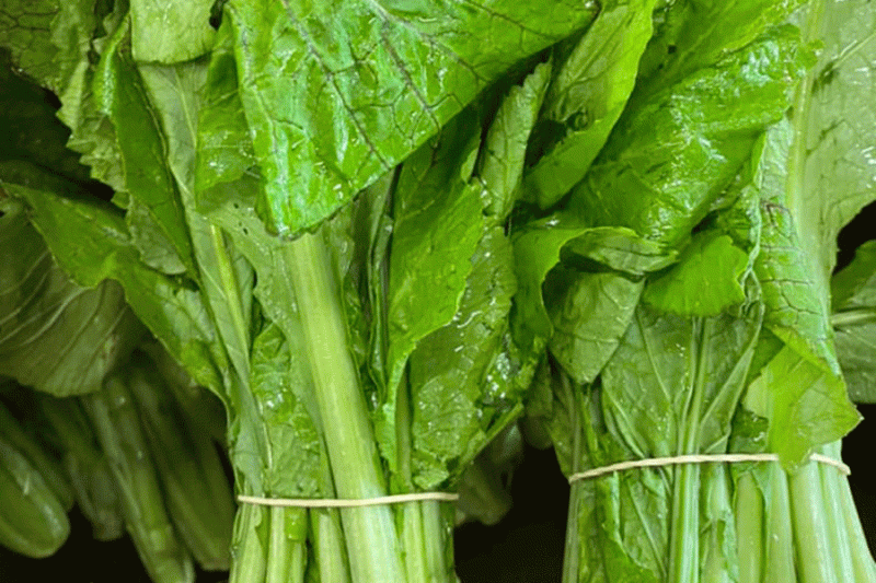 कालीमाटीको रायोको सागमा ९९ % विषादी, स्वास्थ्यका लागि खतरनाक