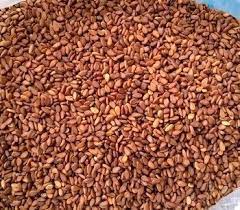 तील : आँखा र दिमाखका लागि लाभदायक 