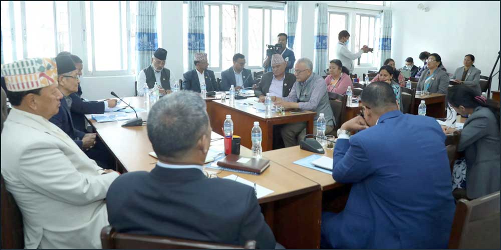 चितवनमा बालिका मृत्युबारे गम्भीर छानबिन गर्न समितिको निर्देशन